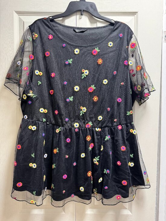 BloomChic Tops - Floral Mesh Embroidery Babydoll Blouse